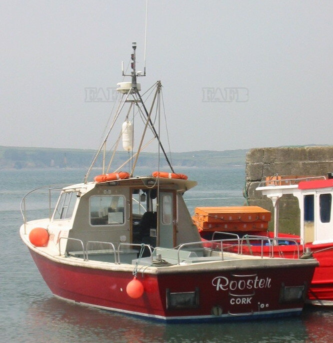 Large picture for advert 118119