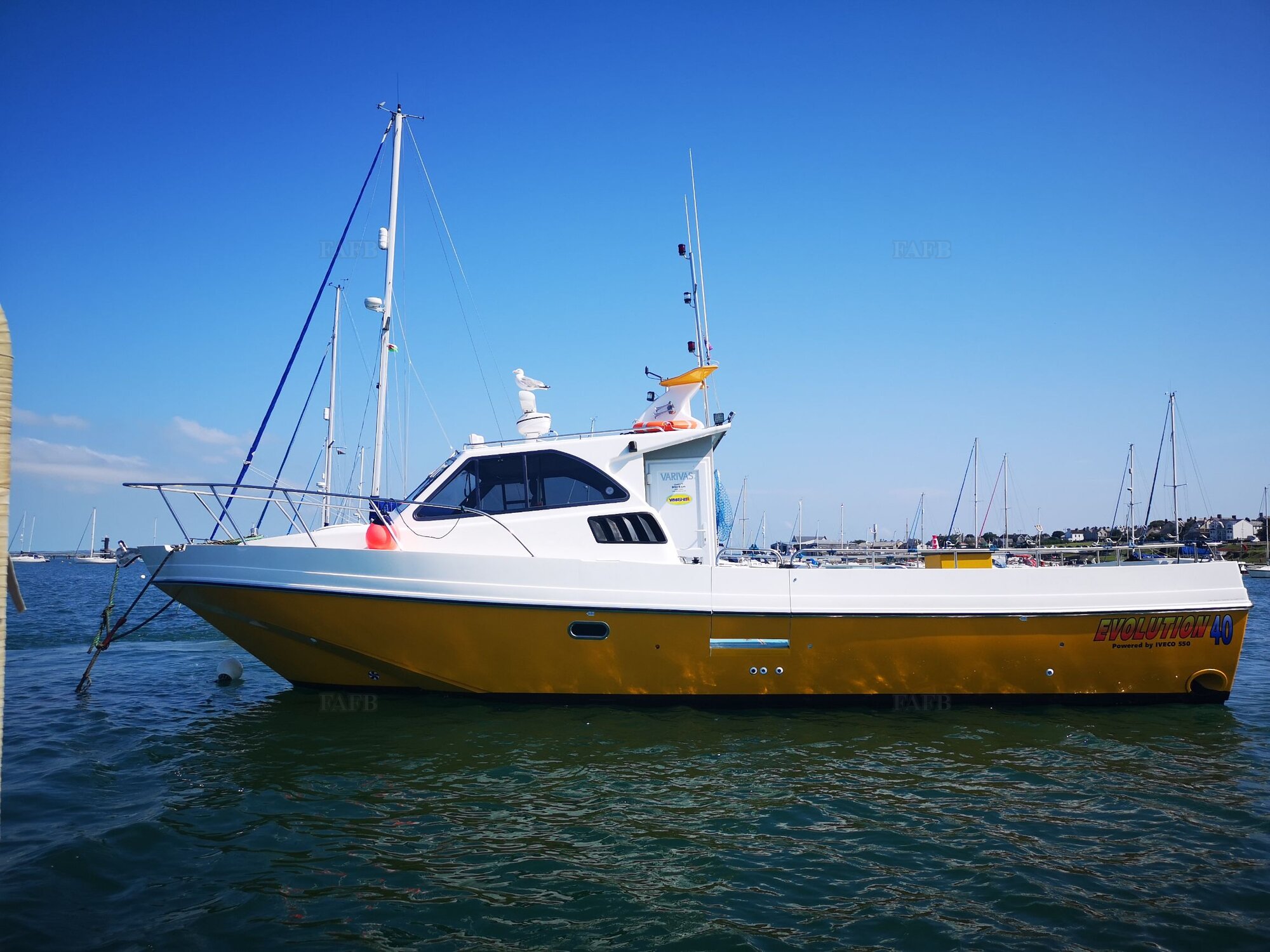 Large picture for advert 110669