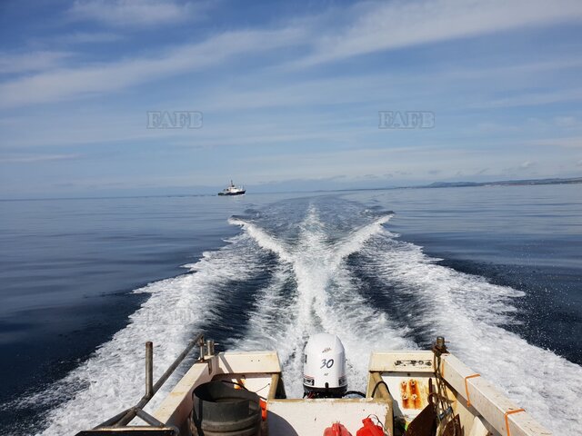 Large picture for advert 113269