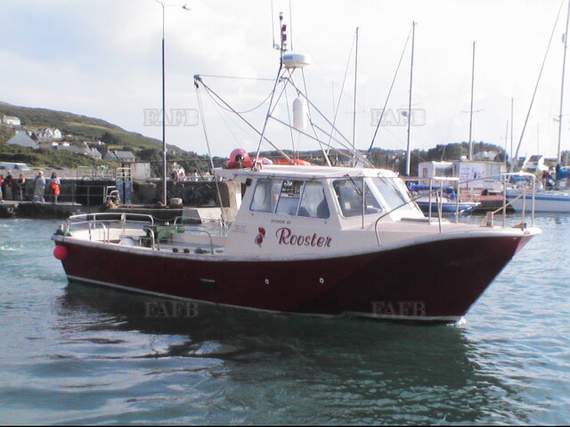 Large picture for advert 118119