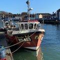 Extra picture for advert 108819