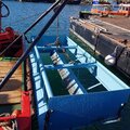 Extra picture for advert 119069