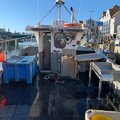 Extra picture for advert 108819