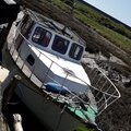 Extra picture for advert 126069